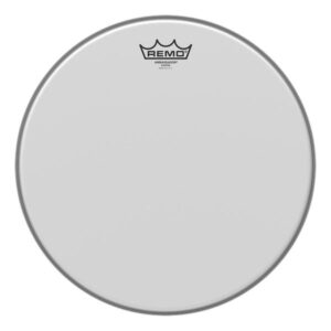 PARCHE AMBASSADOR RUGOSO 10"
